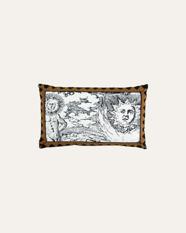 Tim Tim & Modern Toile Pillow